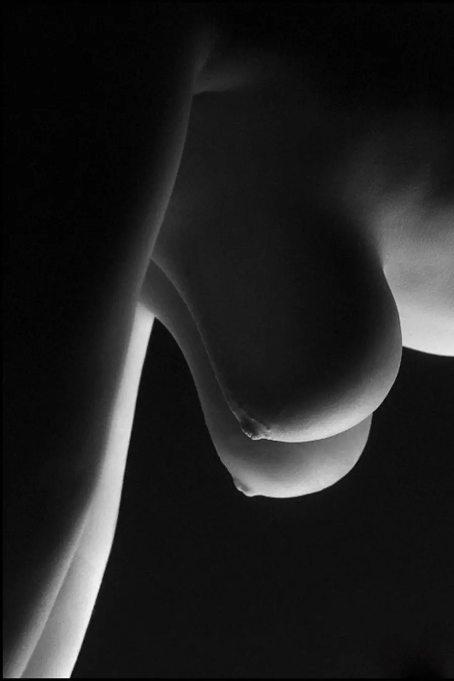 Textbook Retrousse Perfection: The Absolute Best Hanging Titties You’ll Ever See